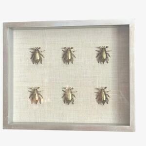 Brass Beetle Shadow Box Wall Art – Framed Insect Display